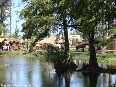 Particolare della "Laguna de las lavanderas".