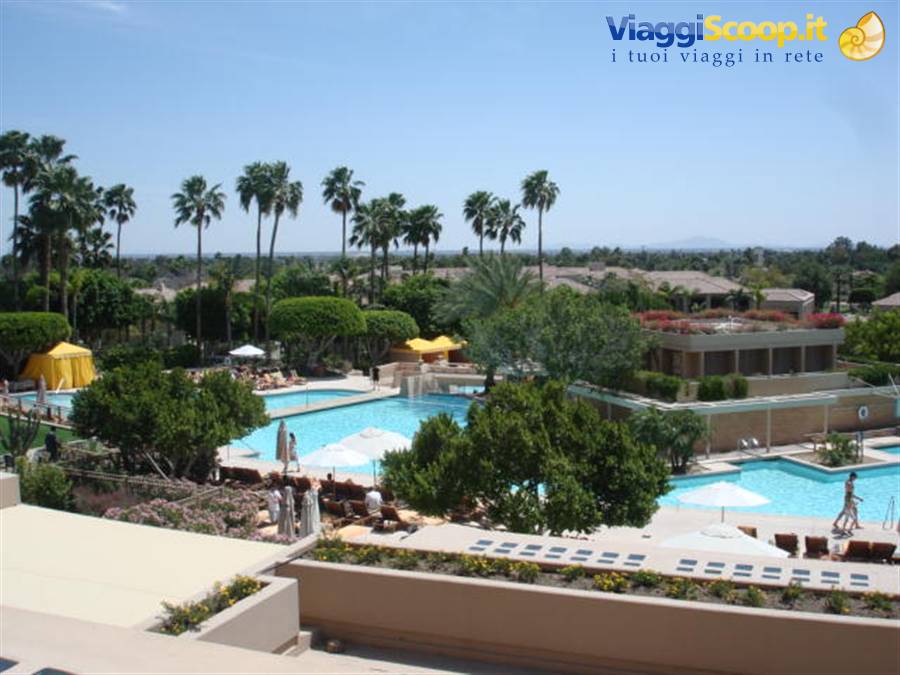 The Phoenician