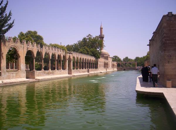 Sanli Urfa, la vasca con le carpe sacre
