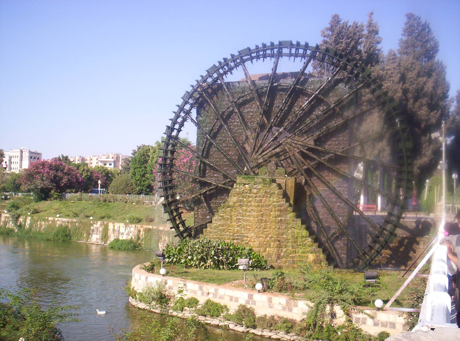 Hama, le Norie