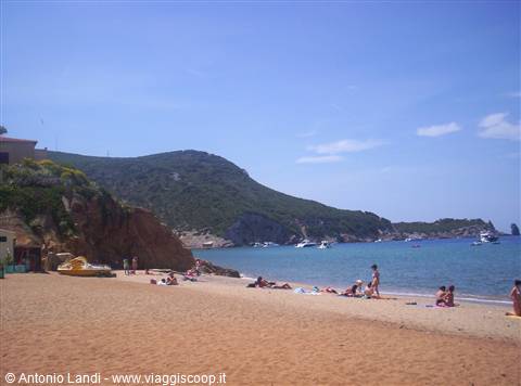 Giglio Campese