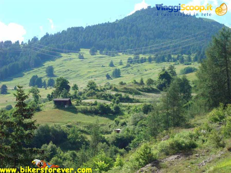 Scuol