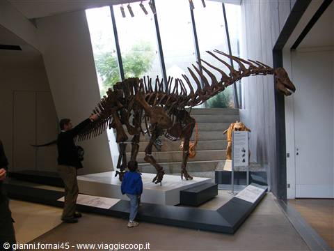 Museum of Melbourne