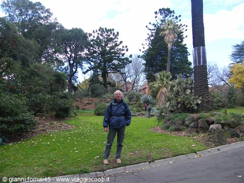 Arid garden