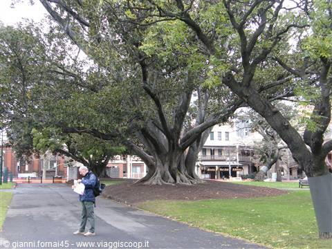 Carlton Garden