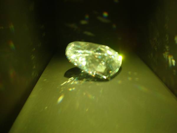 Diamante Natural History Museum