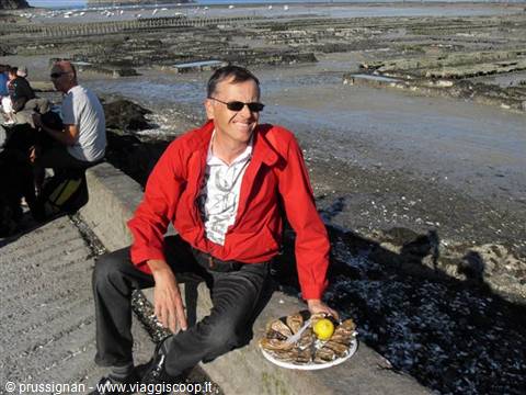ostriche da non perdere a Cancale