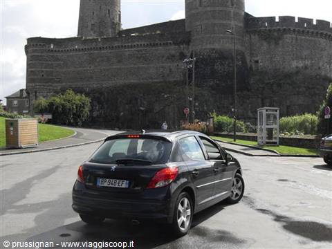 la 207 grande compagna di viaggio