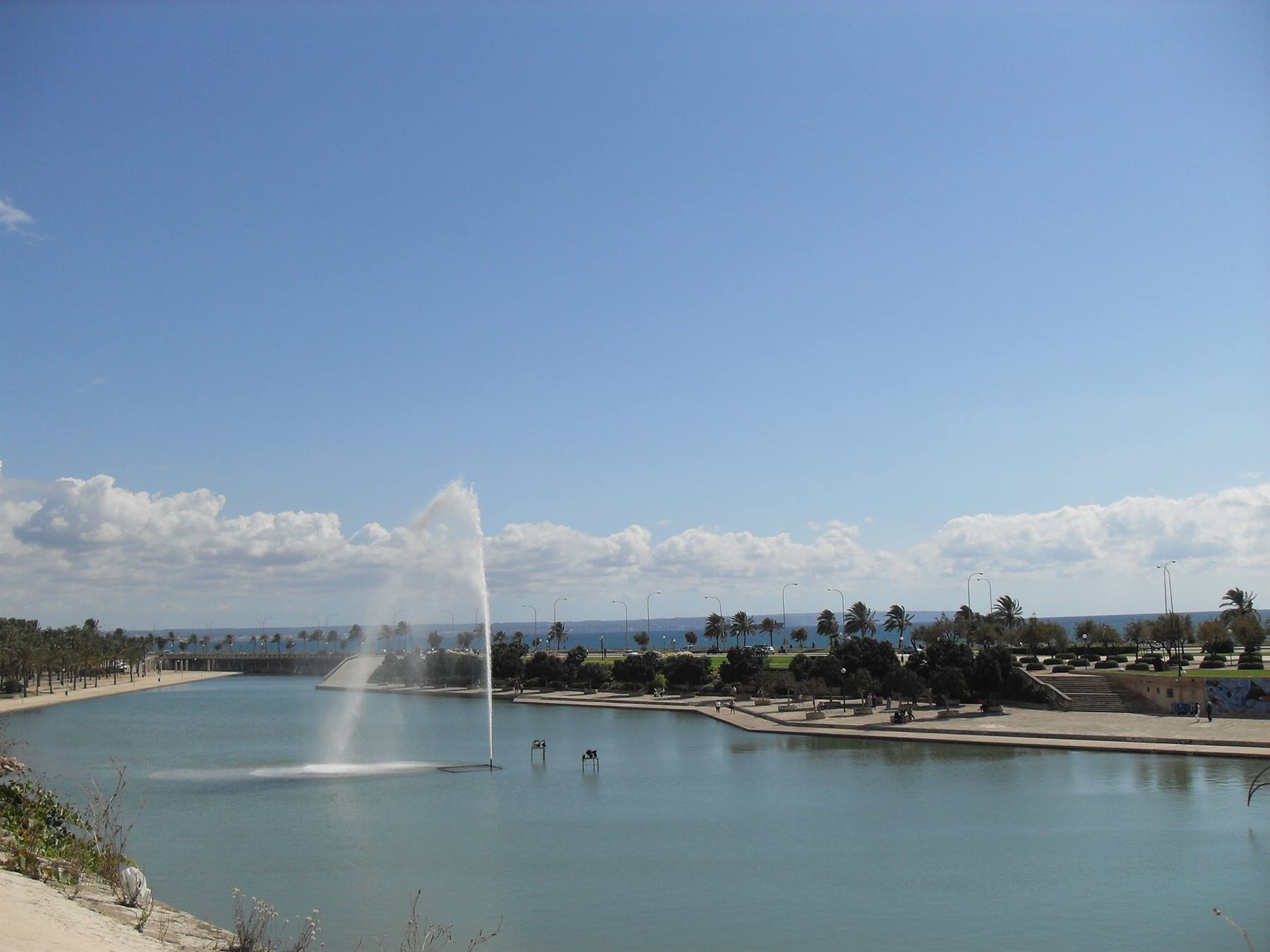 Palma tra il lago e il mare