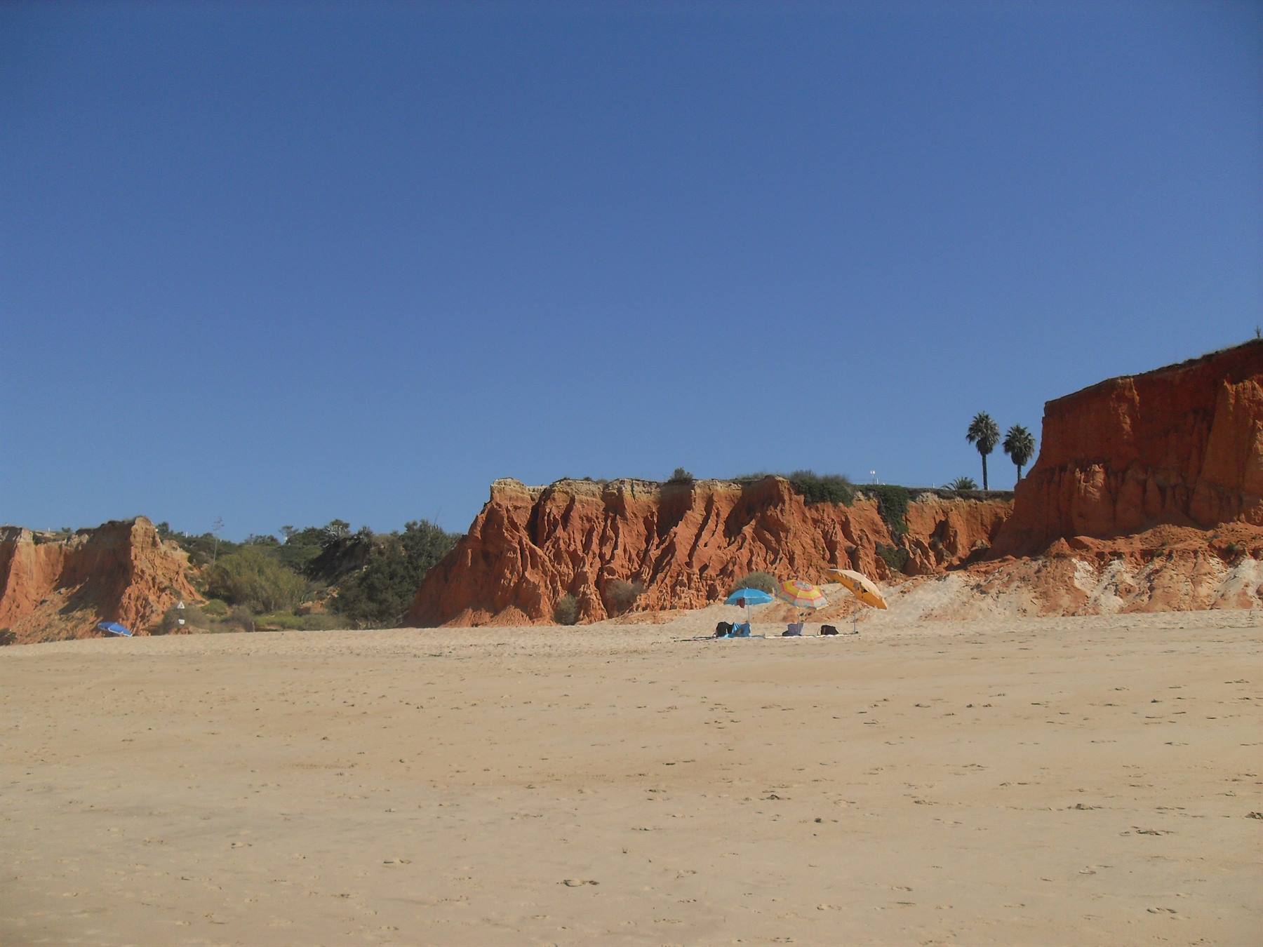 Vale de Lobo