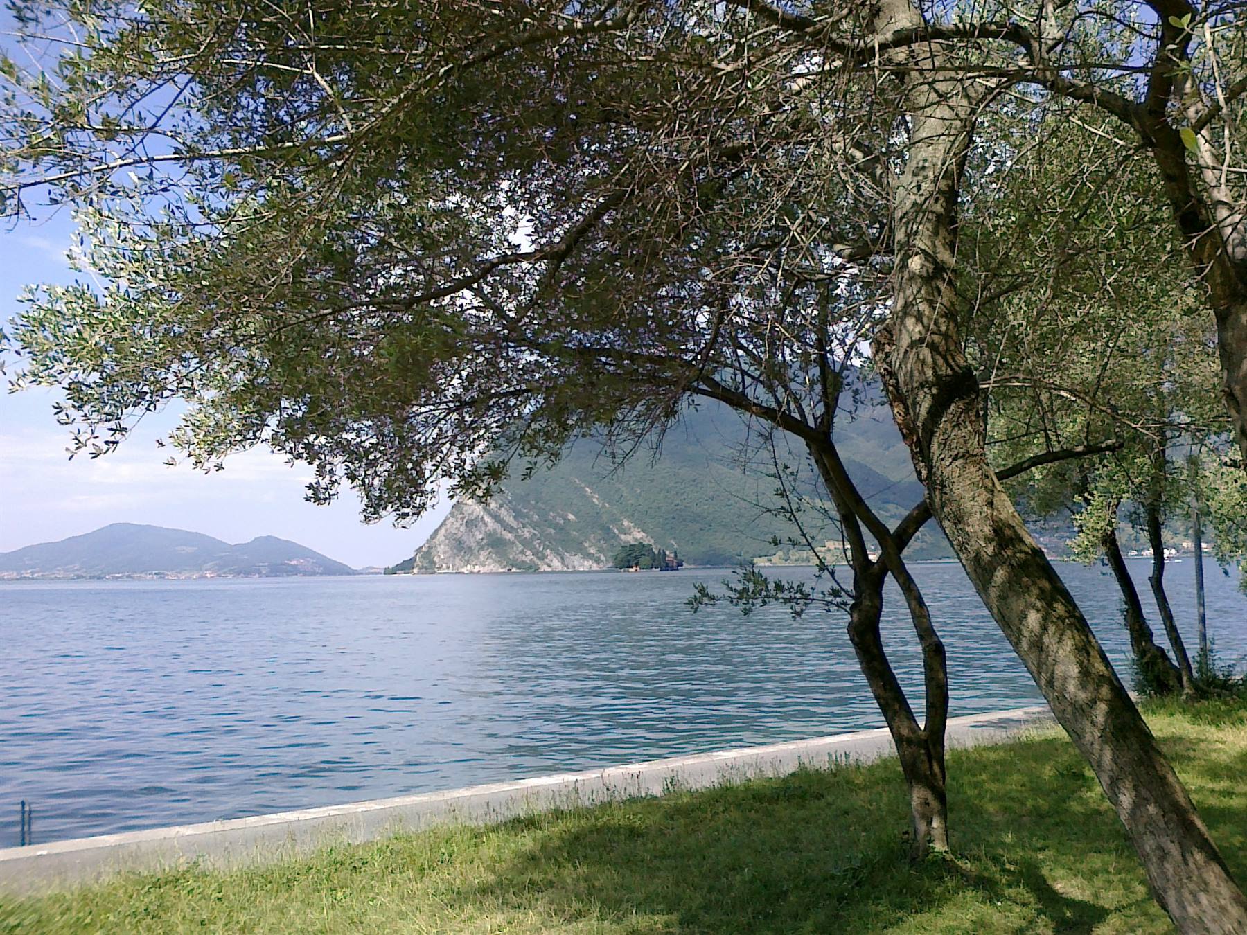 panorama dal Monte Isola