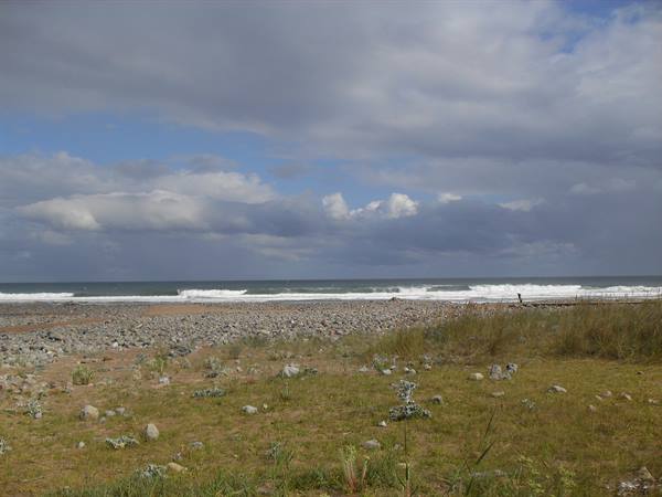 Playa de Vega