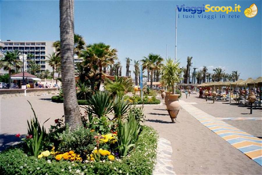 Palme a Torremolinos