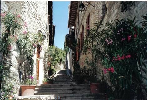 Assisi