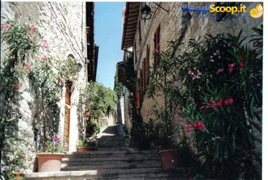 Assisi