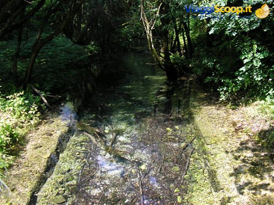 biotopo Fontanazzo.....magie dell'acqua
