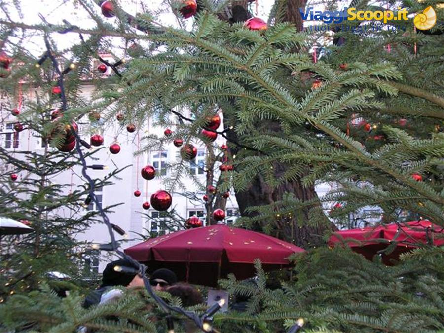 bere qualcosa sotto gli alberi