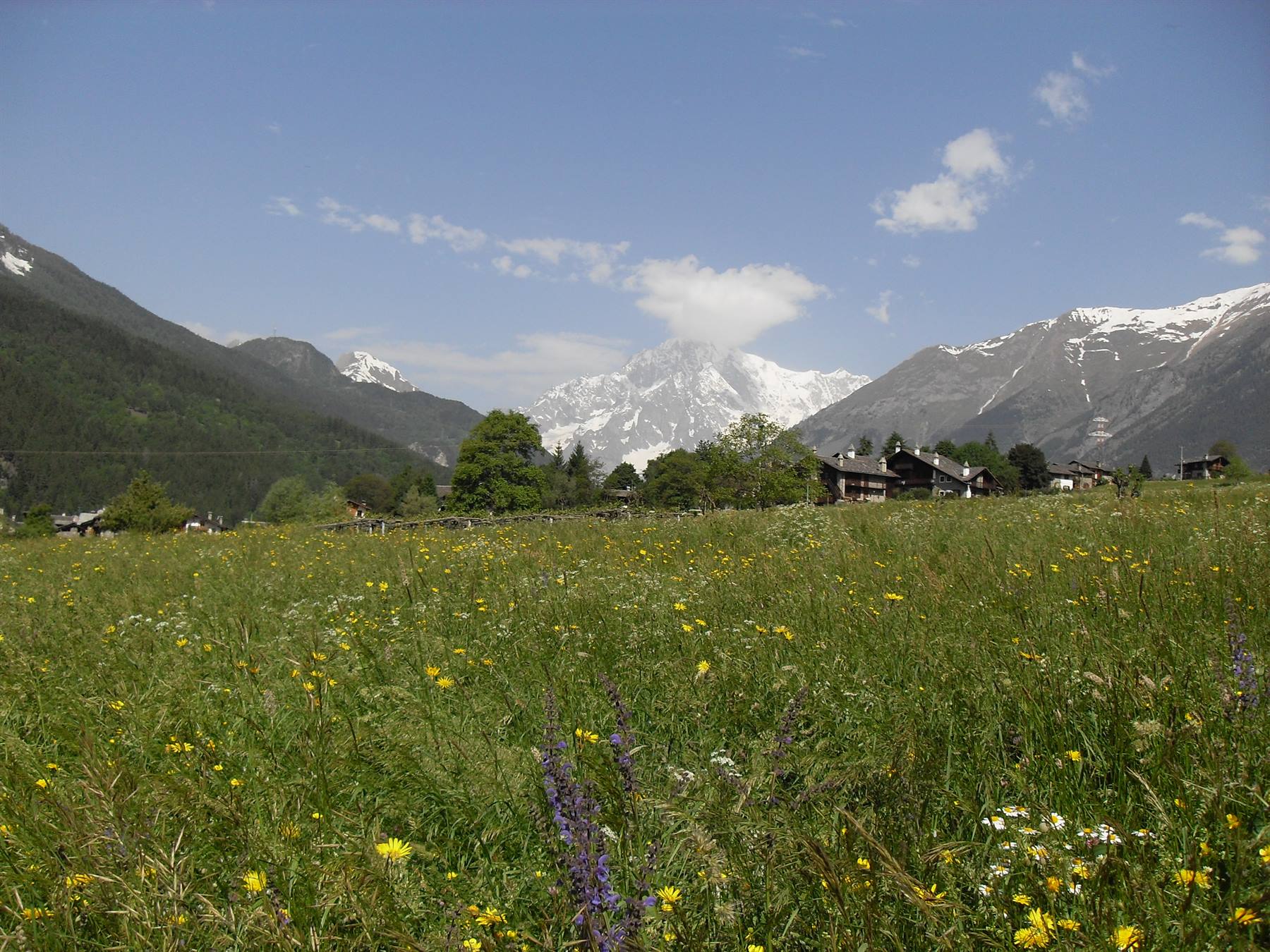 veduta del Monte Bianco