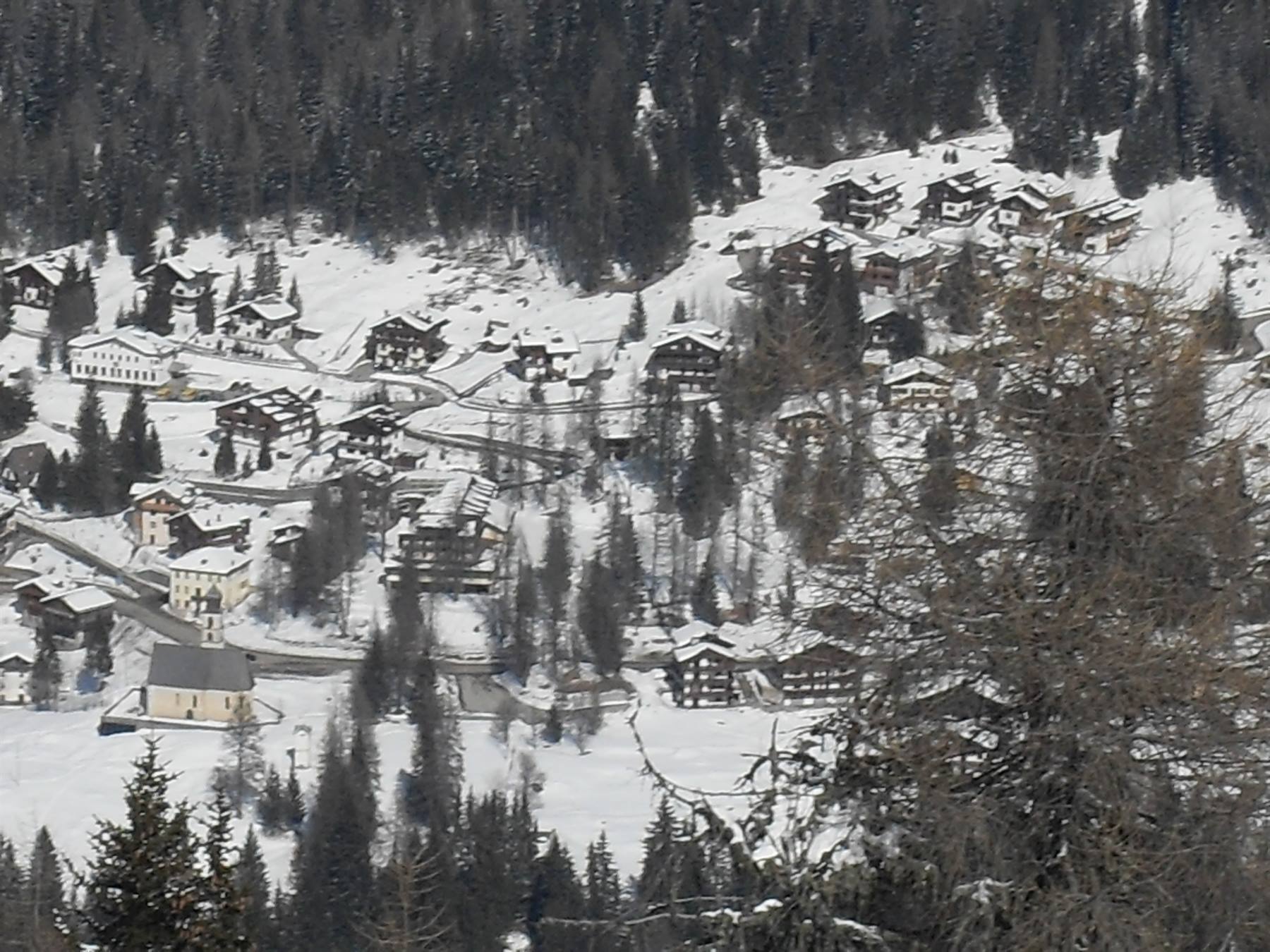 Selva di Cadore da Col Fioret