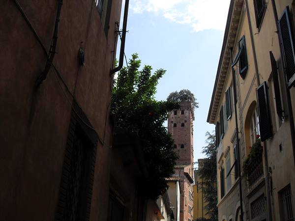 torre Guinigi