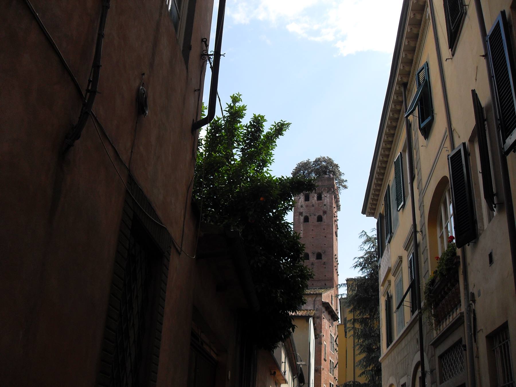 torre Guinigi