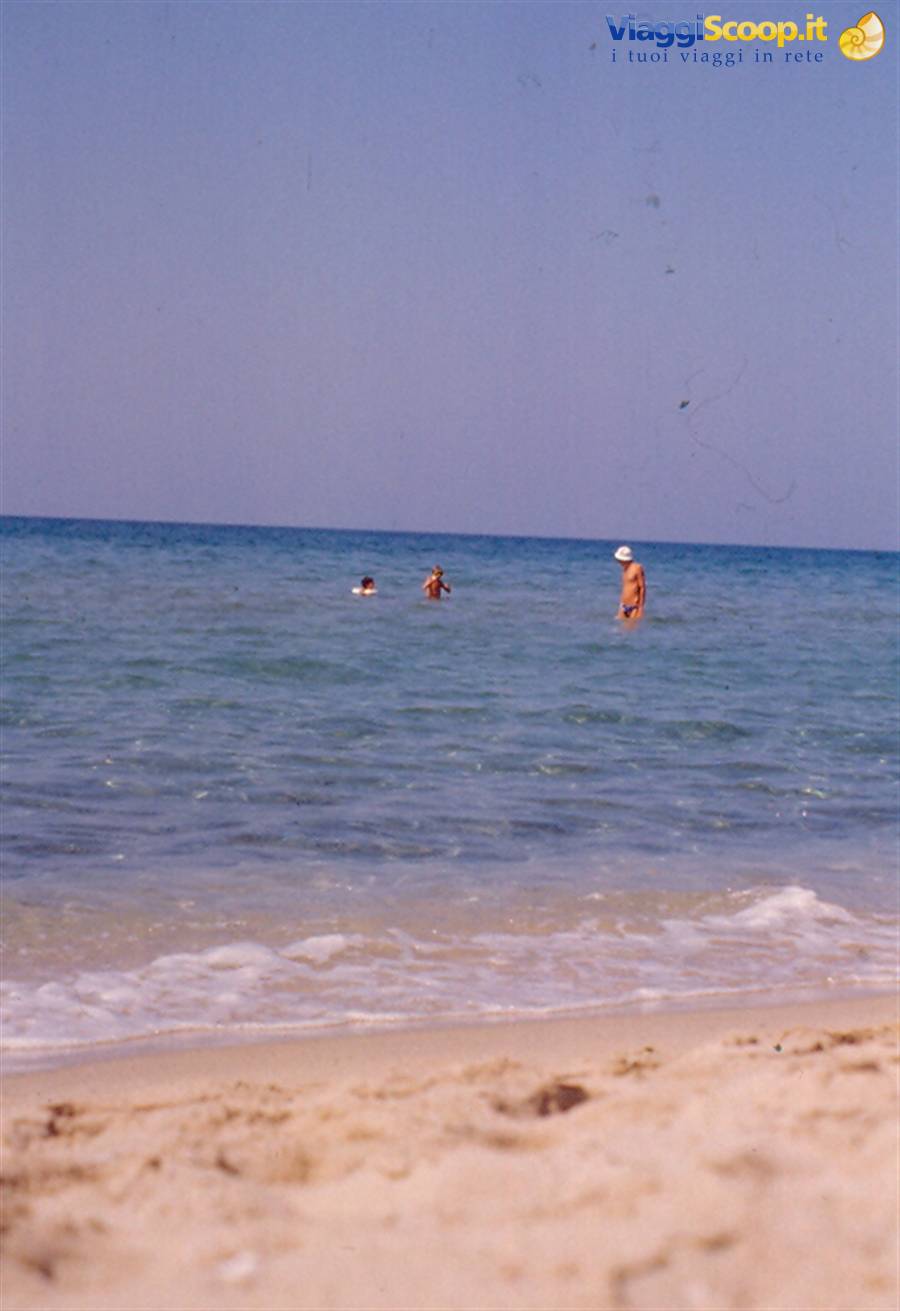 Quercioni a Ferragosto