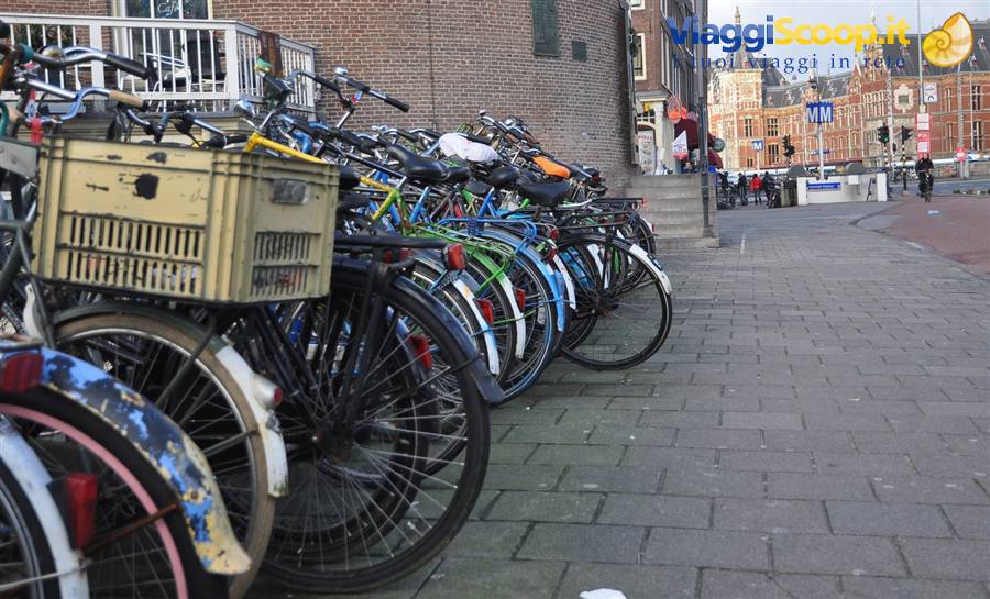 Foto di viaggio in OLANDA