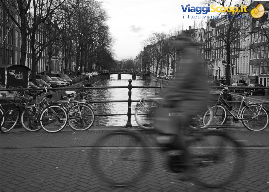 Foto di viaggio in OLANDA