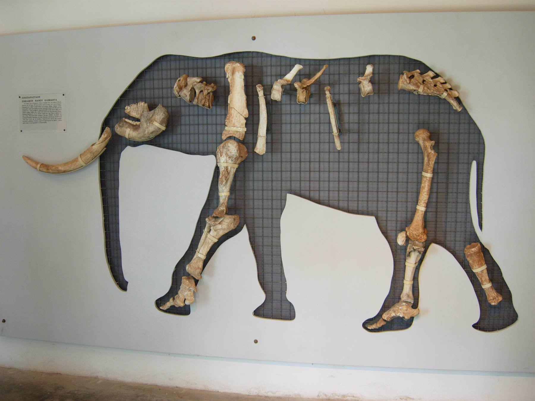 Elefante nano