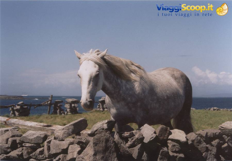 Foto di viaggio in IRLANDA