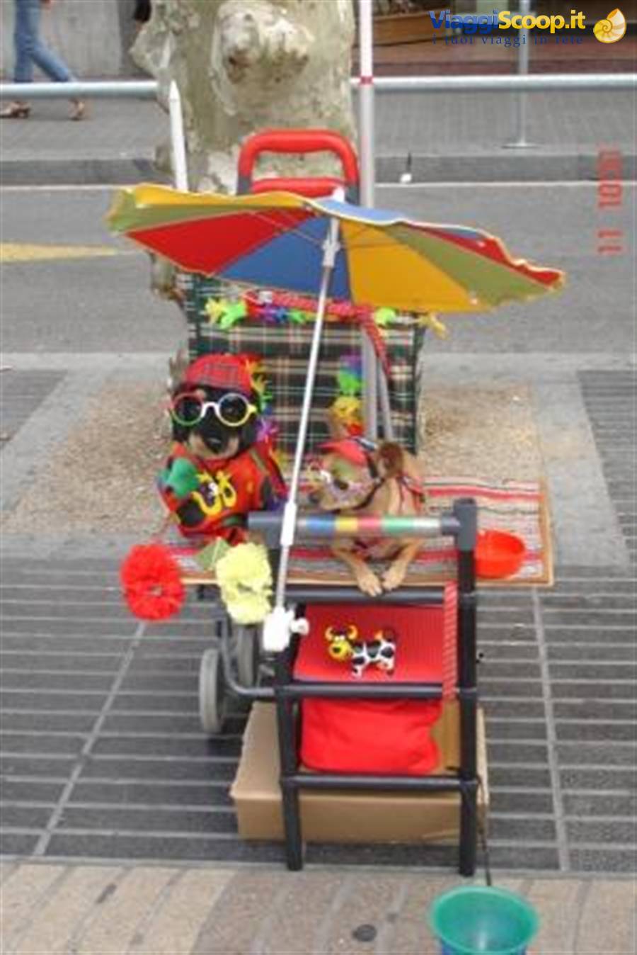 vita da cani sulla Rambla