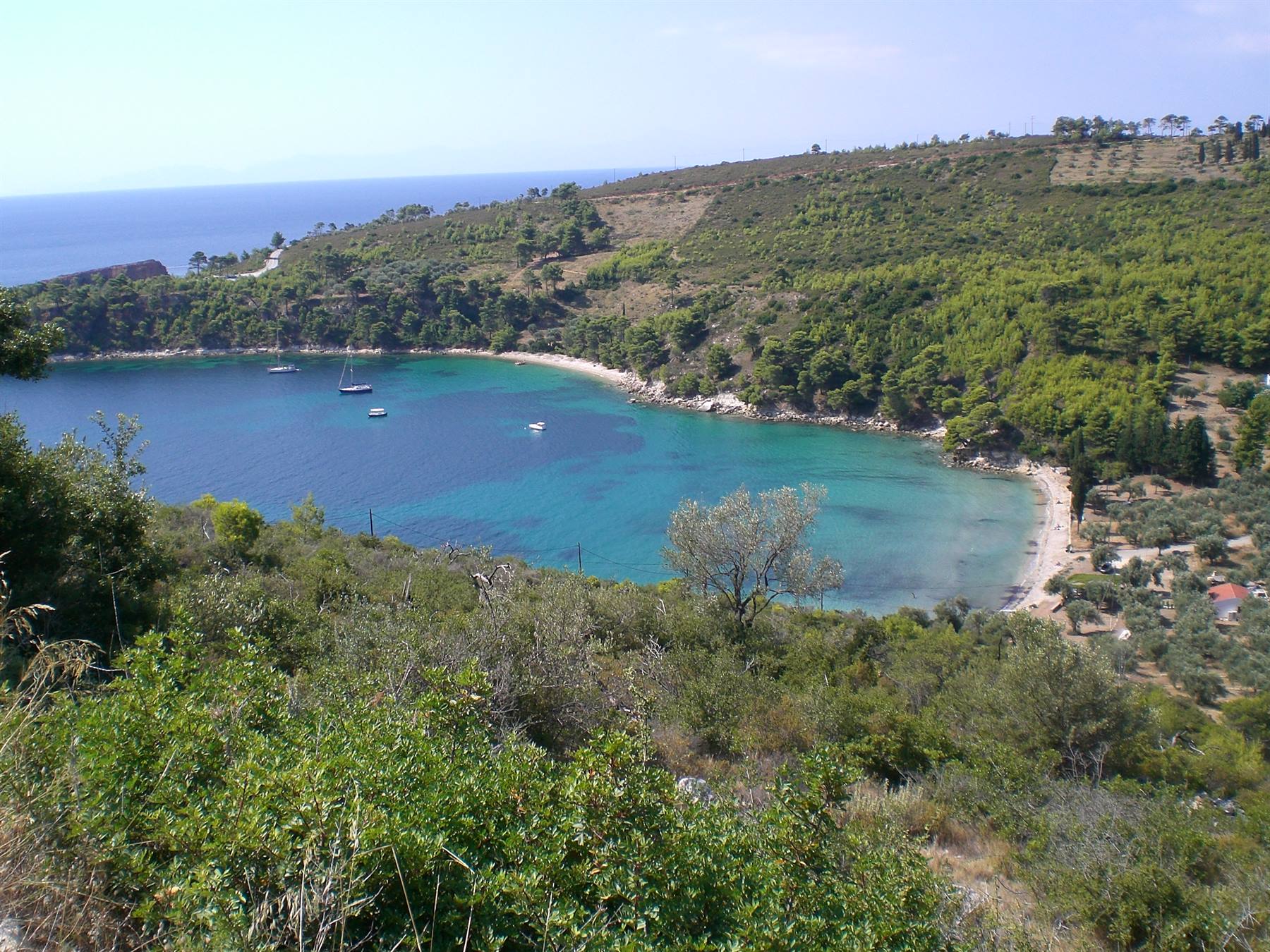 vista