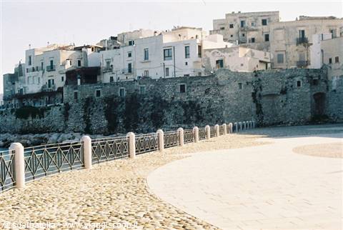 CARTOLINA DI VIESTE