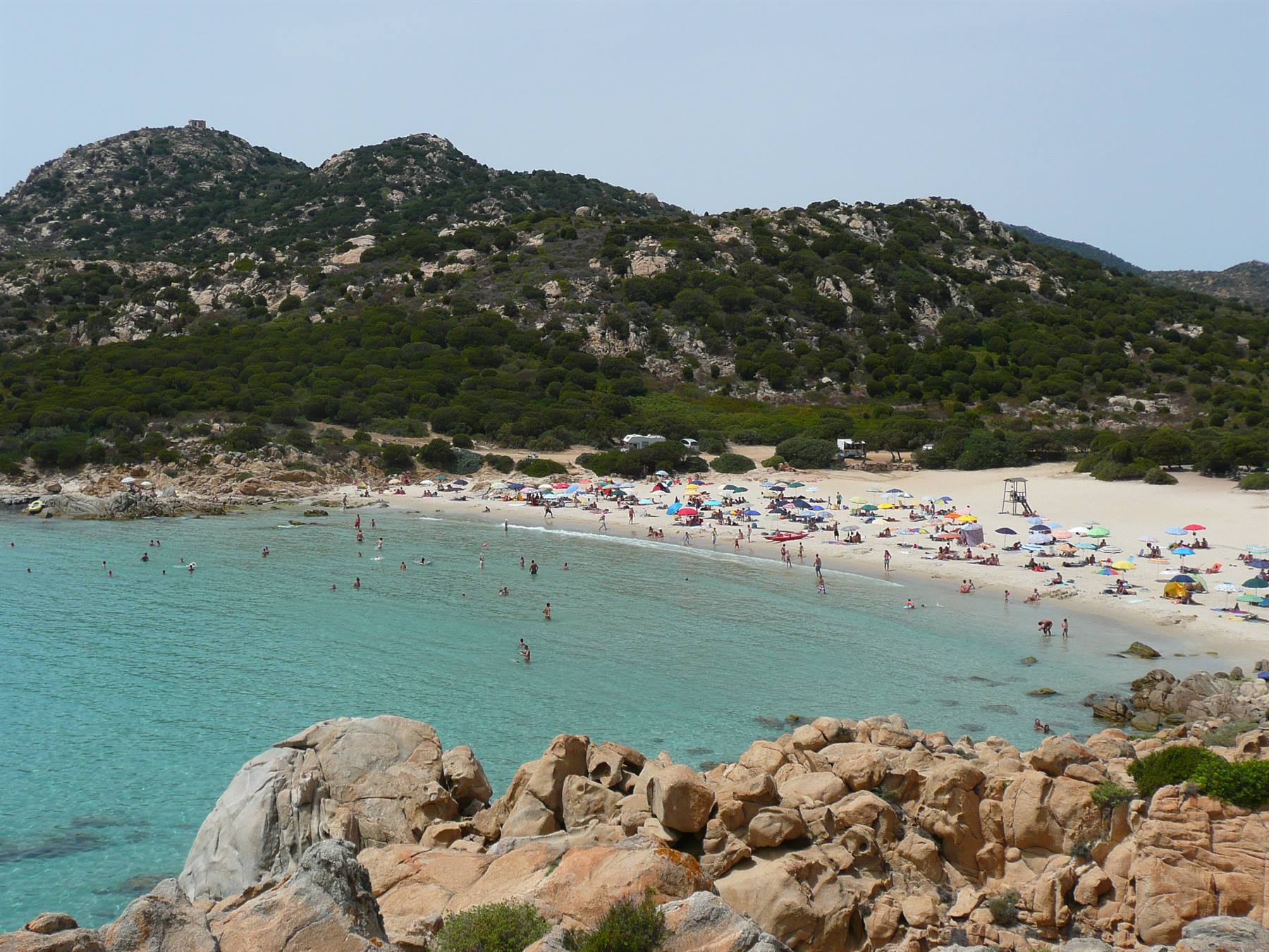 CHIA- CALA CIPOLLA