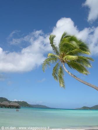 Bora Bora