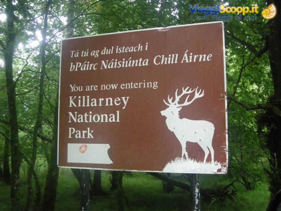 Foto di viaggio in IRLANDA