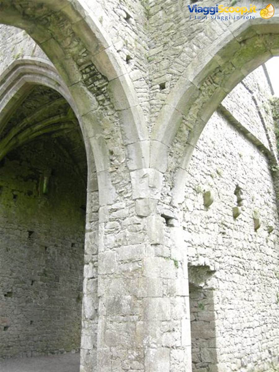 Hore Abbey