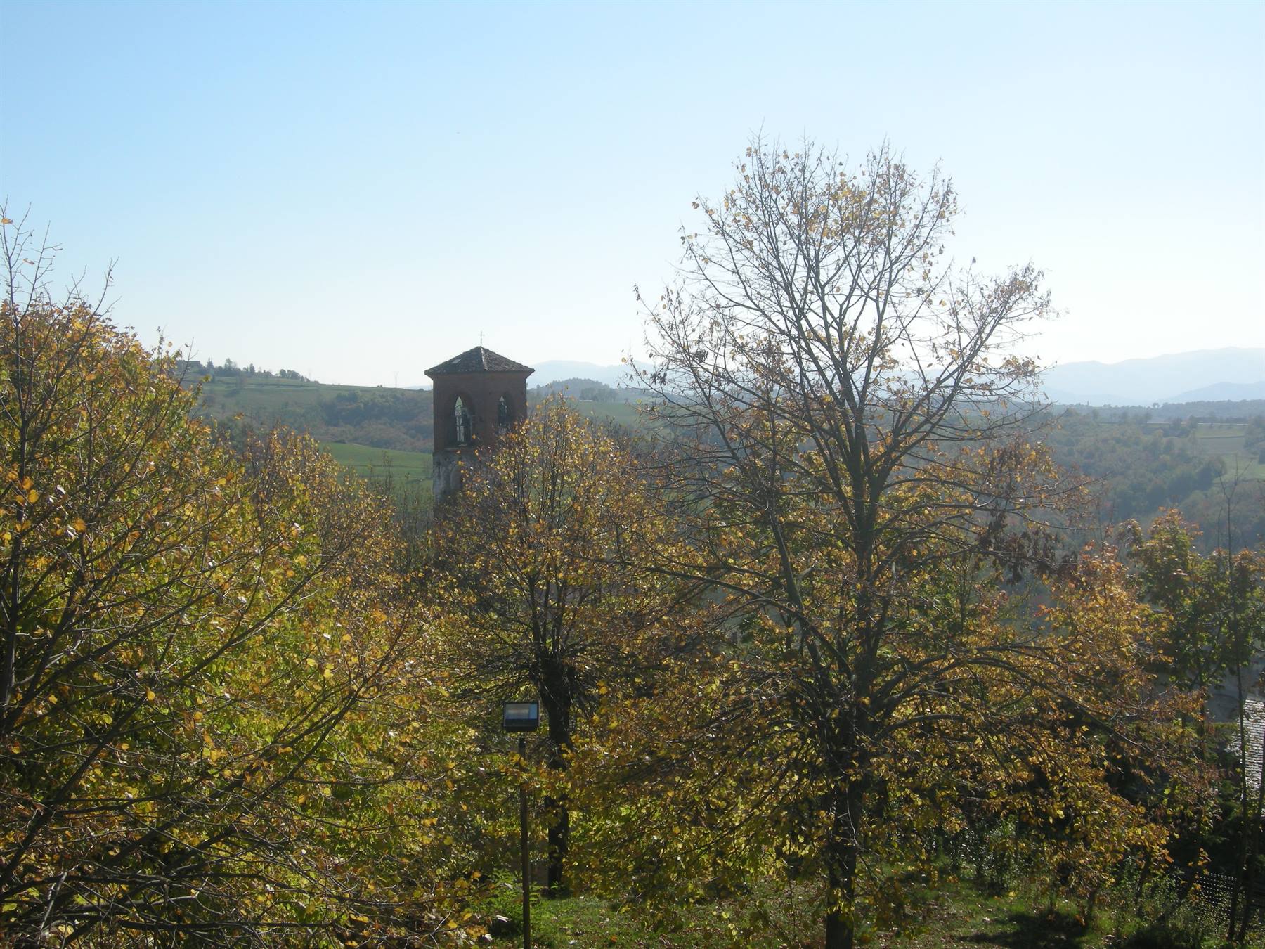 Dalla Torre...