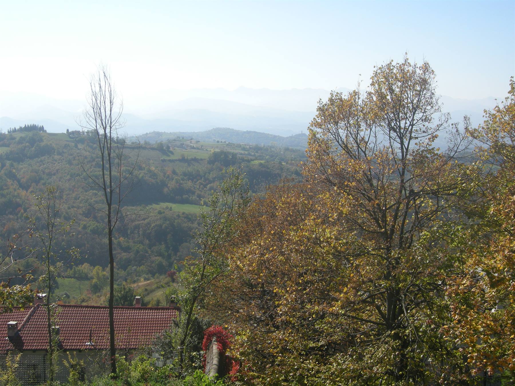 Dalla Torre...