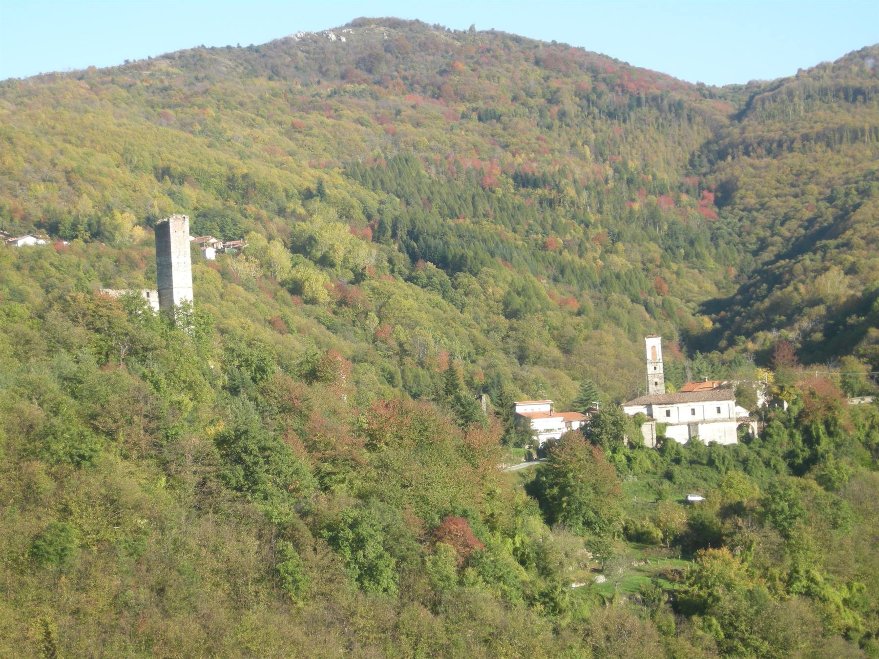 Castello di Viola