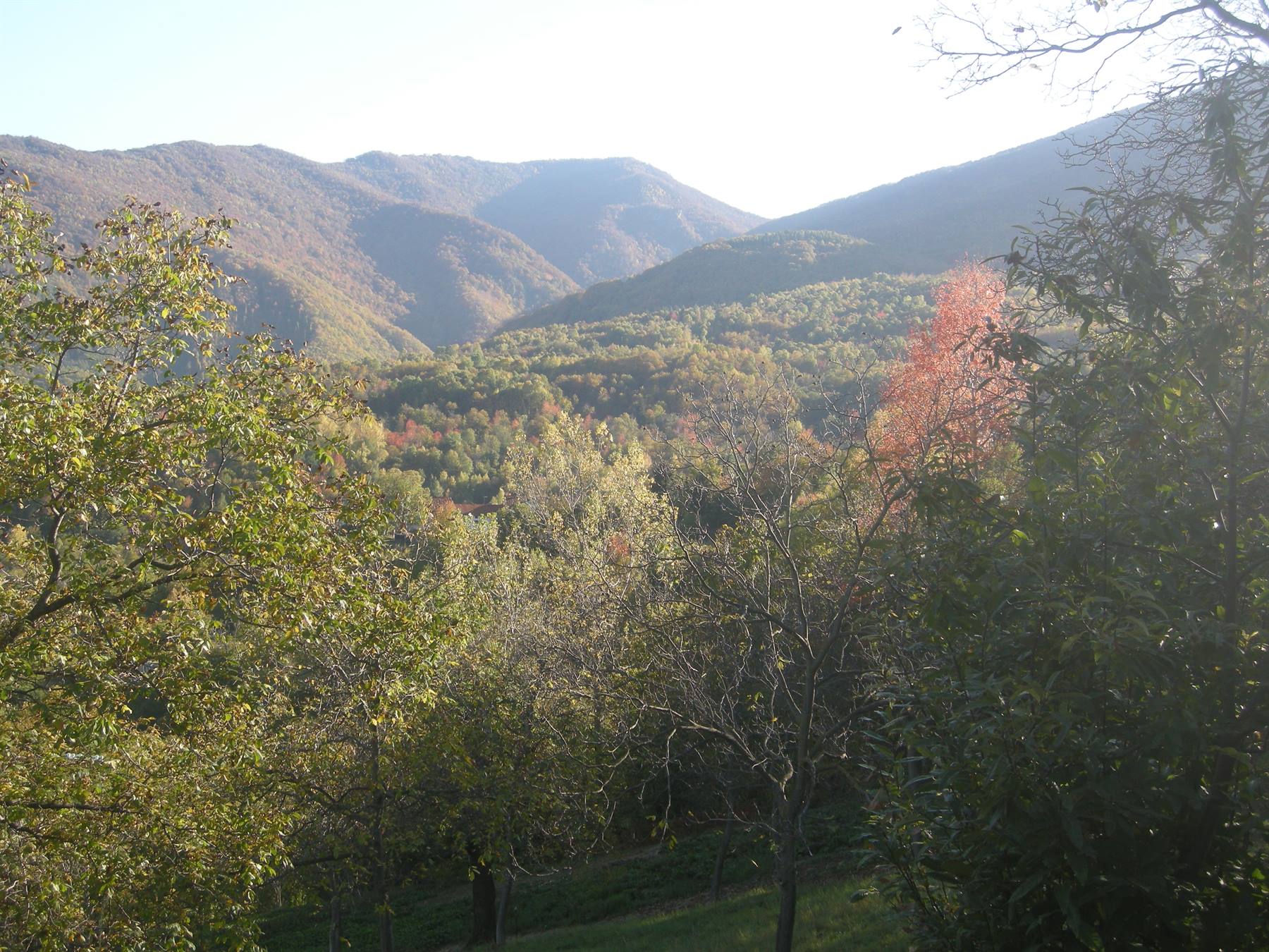 Colori d'autunno...