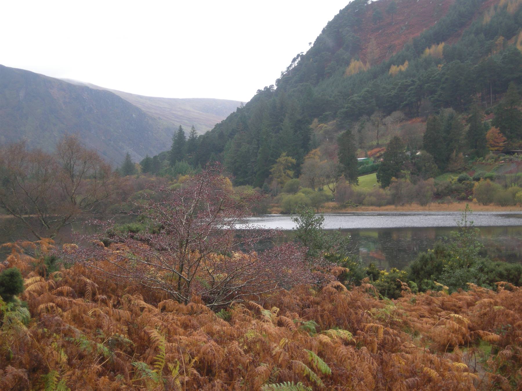 Glendelough