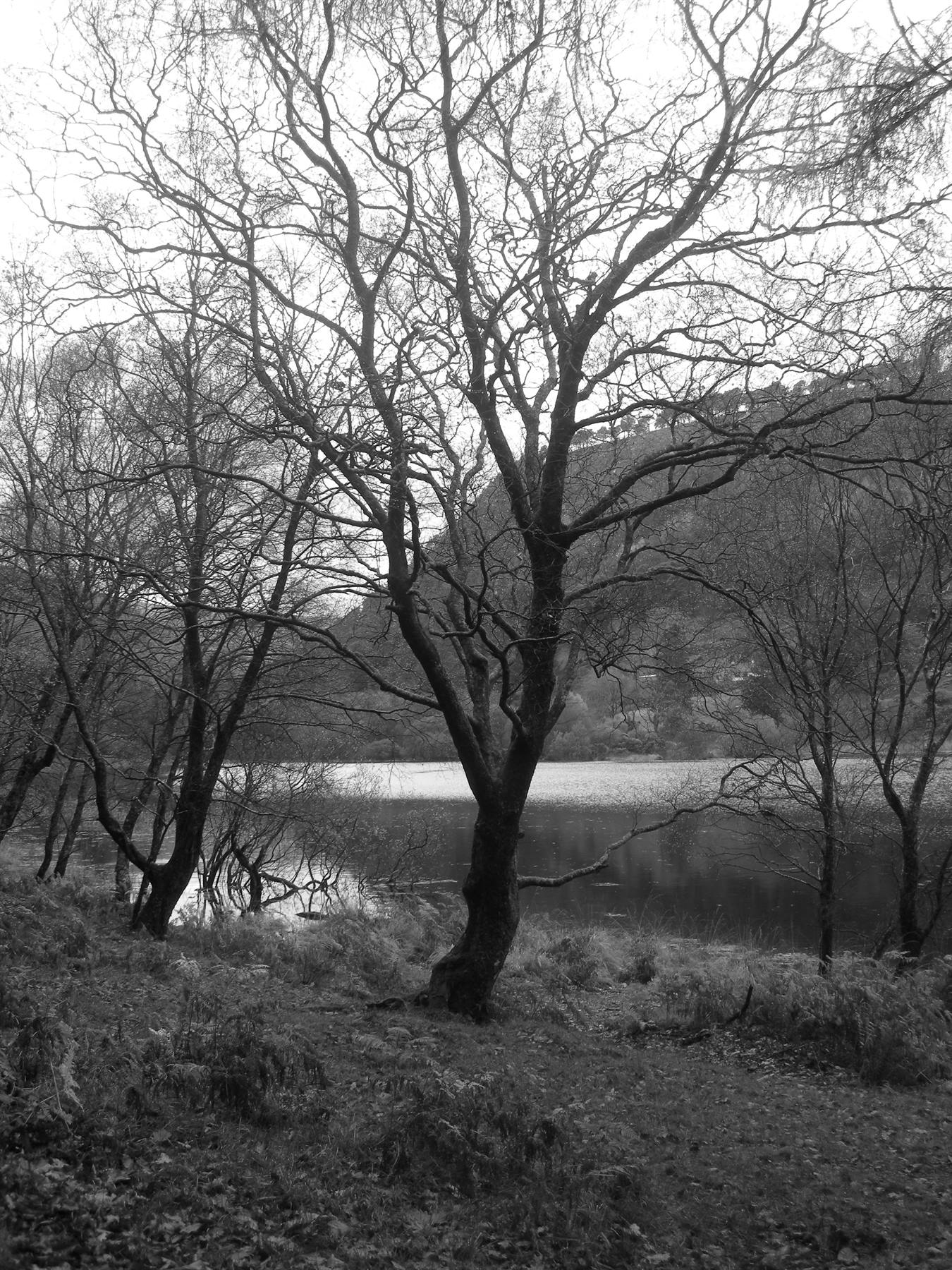 Glendelough