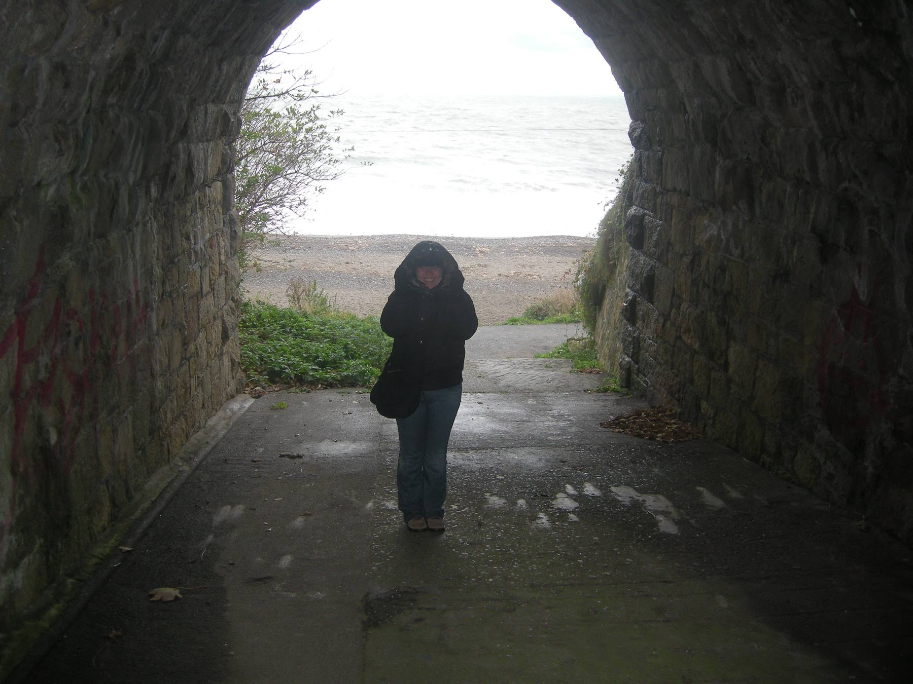 KILLINEY - Verso la spiaggia