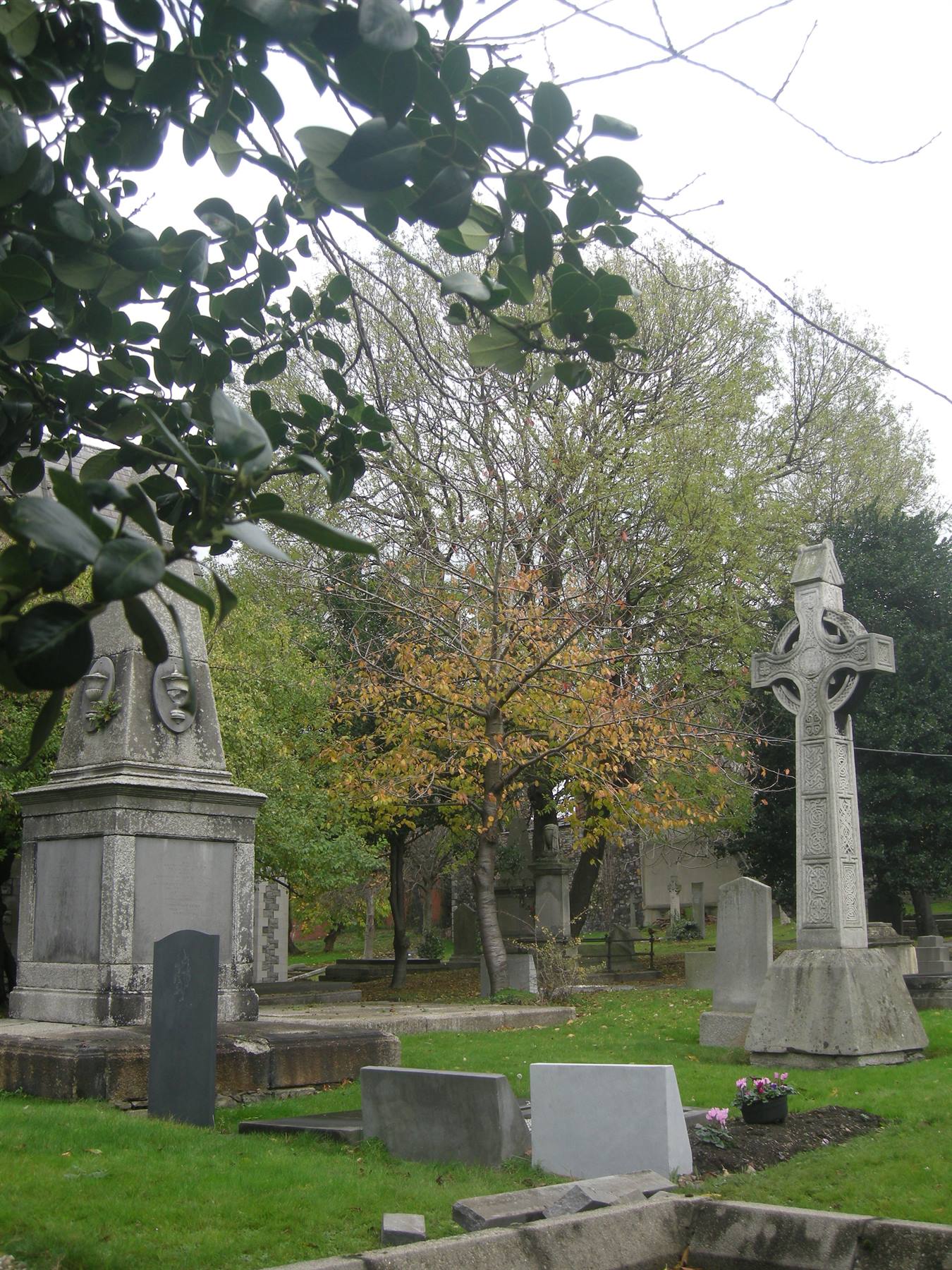 St. Patrick's Cathedral