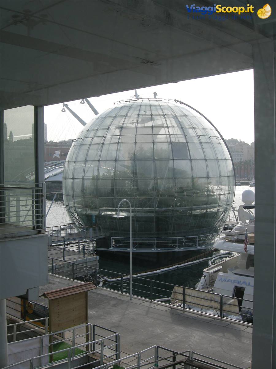 Fuori dall'acquario...