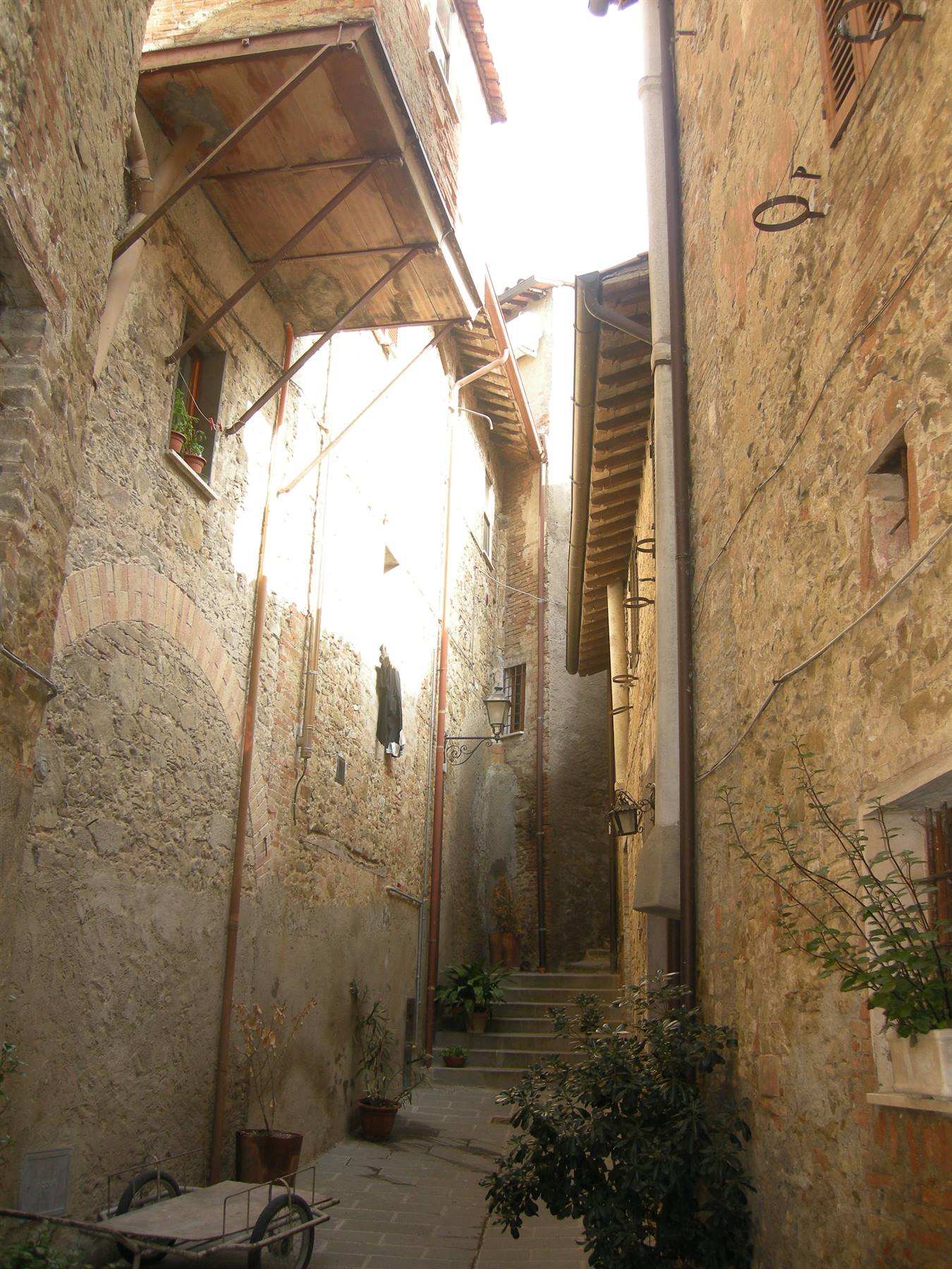 Spina