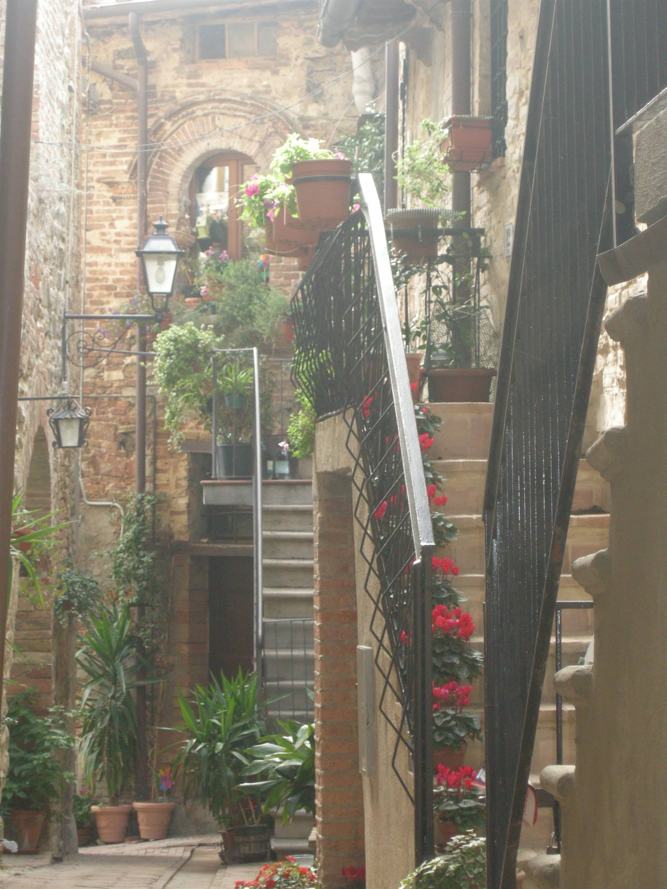 Spina