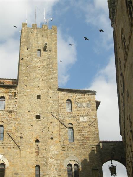 Volterra