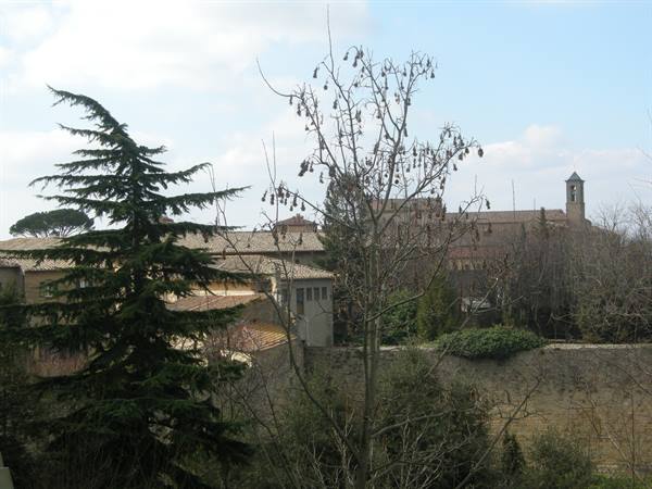 Volterra